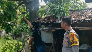 Petani Asal Kecamatan Toili, Kabupaten Banggai Diduga Tewas Gantung Diri