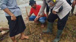 Tersengat Listrik Jebakan Tikus, Petani di Toili Barat Banggai Meninggal