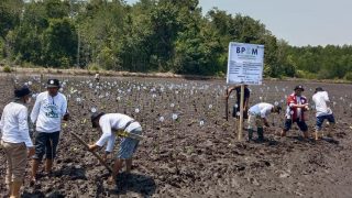 Bupati Amirudin Tekankan Pentingnya Menjaga Ekosistem Mangrove Sebagai Perlindungan Alami Bagi Wilayah Pesisir.