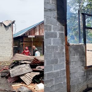 Si Jago Merah Lahap Rumah Warga di Toili