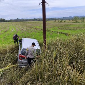 Mobil Calya Terjun ke Sawah di Batui Selatan, Diduga Akibat Kurang Hati-Hati Saat Menyalip