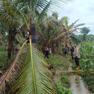 Tragis! Pria di Simpang Raya Ditemukan Tewas Gantung Diri, Usai Cekcok Dengan Anak Kandung